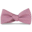 Load image into Gallery viewer, Signature Stripe: Bow Tie - Crimson
