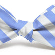 Load image into Gallery viewer, Newman: Bow Tie - Blue/White
