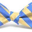 Load image into Gallery viewer, Kapalua: Bow Tie - Yellow/Light Blue
