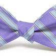 Load image into Gallery viewer, Catalina: Bow Tie - Violet/Blue
