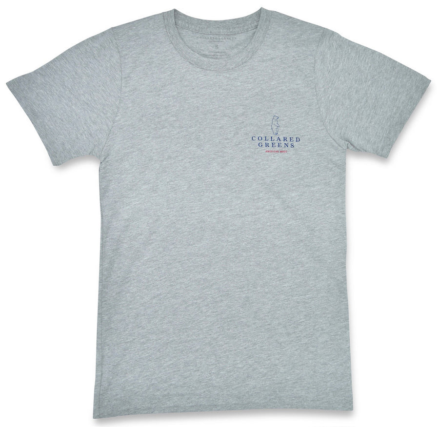 Bald Eagle: Short Sleeve T-Shirt - Gray