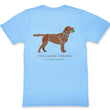 Load image into Gallery viewer, Good Boy: Short Sleeve T-Shirt - Chocolate Lab on Carolina
