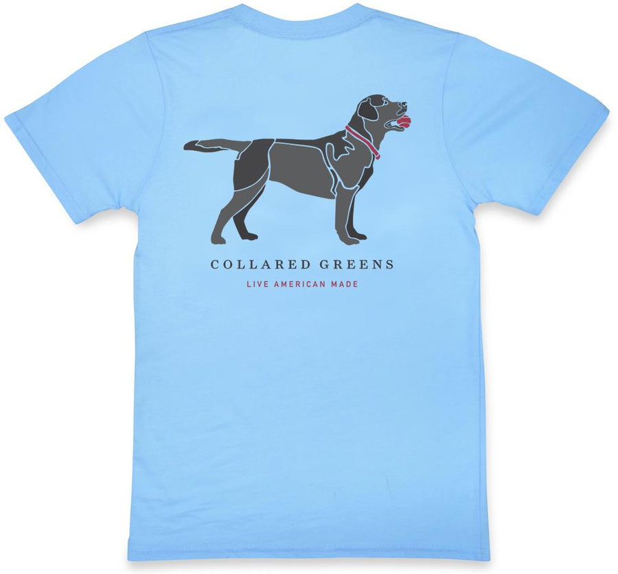 Good Boy: Black Lab: Short Sleeve T-Shirt - Carolina