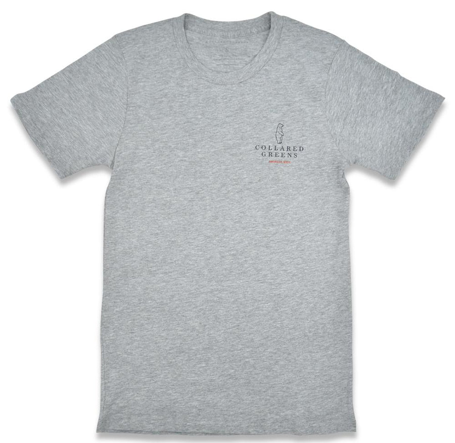 Oysters and Hot Sauce: Short Sleeve T-Shirt - Gray