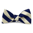 Load image into Gallery viewer, Chester: Bow Tie - Royal Blue/White
