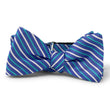 Load image into Gallery viewer, Suffolk: Bow Tie - Blue
