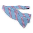 Load image into Gallery viewer, Stafford: Bow Tie - Light Blue/Pink
