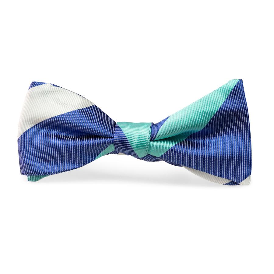 Craig: Bow Tie - Royal Blue