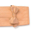 Load image into Gallery viewer, Signature Stripe: Cummerbund Set - Orange
