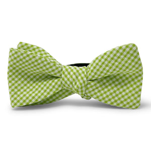 Fenwick: Carolina Cotton Bow - Lime