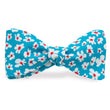 Load image into Gallery viewer, Bloom: Carolina Cotton Bow
