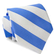 Load image into Gallery viewer, Dulles: Tie - Royal/White
