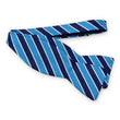 Load image into Gallery viewer, Charles: Bow - Navy/Aqua
