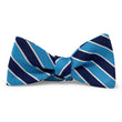 Load image into Gallery viewer, Charles: Bow - Navy/Aqua
