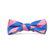 Load image into Gallery viewer, Kapalua: Boys Bow Tie - Pink/Blue
