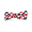 Load image into Gallery viewer, Collegiate Quad: Boys Bow Tie - Navy/Red
