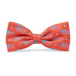 Load image into Gallery viewer, Old Glory: Boys Bow Tie - Salmon
