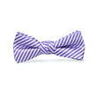 Load image into Gallery viewer, Signature Stripe: Boys Bow Tie - Purple
