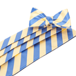 Load image into Gallery viewer, Makers Yellow/Blue Cummerbund &amp; Bow Tie Set Cummerbund Sets - Collared Greens American Made

