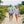 Load image into Gallery viewer, Staghorn Swim: Swim Trunks - Blue/Mint
